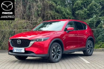 2.0 165KM Exclusive-Line Salon PL Gwarancja Producenta ASO