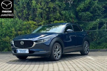 2.0 186KM Exclusive-Line Salon PL ASO Gwarancja Producenta FV23%